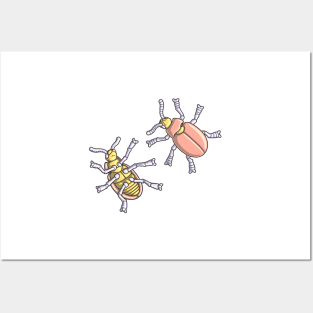 Beetle Morphology Illustration - Entomology, Coleoptera Diagram Posters and Art